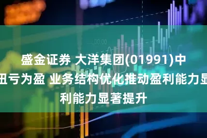 盛金证券 大洋集团(01991)中期业绩扭亏为盈 业务结构优化推动盈利能力显著提升